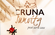 Cruna Sumvitg